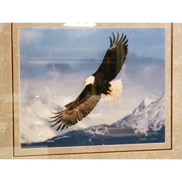 Millcreek Wildlife Reflections Eagle Photo Hand Signed Framed 19 3/4x16" 24"x30" - Picture 2 of 5